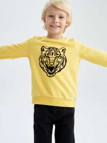 Свитшот DeFacto модель Y2613A6-YL284 Фото