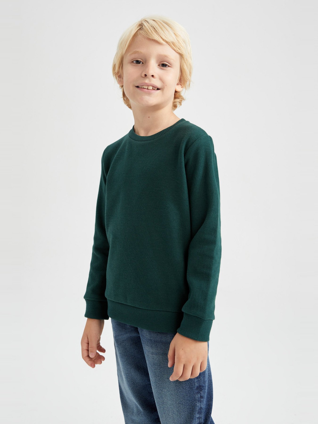 Свитшот DeFacto модель L0311A6-GN493 Фото