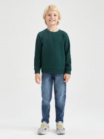 Свитшот DeFacto модель L0311A6-GN493 Фото