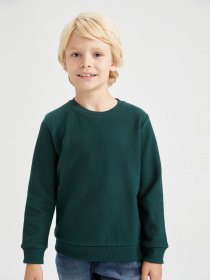 Свитшот DeFacto модель L0311A6-GN493 Фото