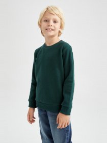 Свитшот DeFacto модель L0311A6-GN493 Фото