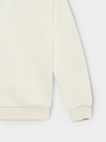 Свитшот DeFacto модель Y0945A6-ER98 Свитшот DeFacto модель Y0945A6-ER98 Фото