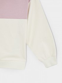 Худи DeFacto модель W0145A6-BG197 Фото