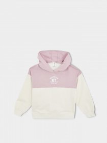 Худи DeFacto модель W0145A6-BG197 Фото