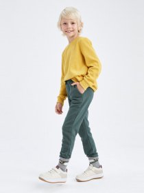 Джогери DeFacto модель K8852A6-KH423 Фото