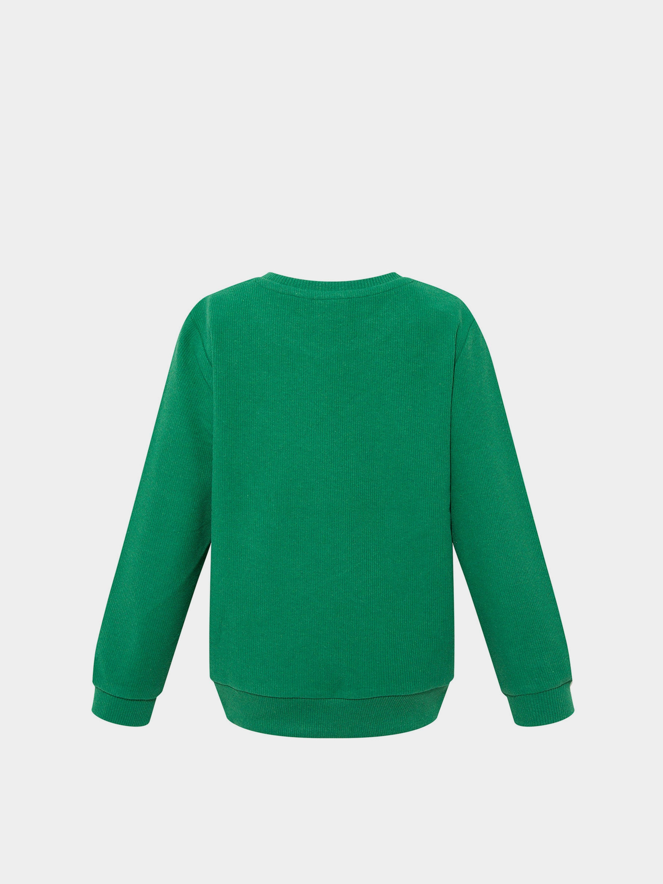 Свитшот DeFacto модель S0744A6-GN468 Фото