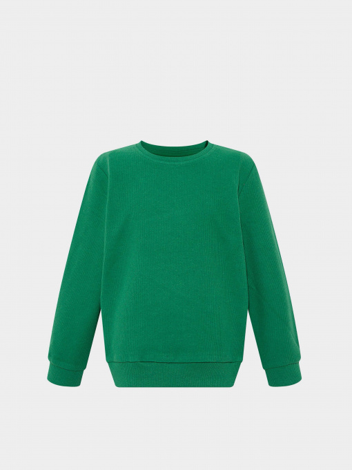 Світшот DeFacto модель S0744A6-GN468 Фото