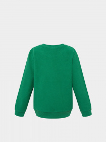 Свитшот DeFacto модель S0744A6-GN468 Фото