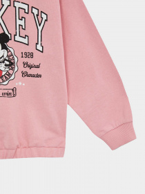 Свитшот DeFacto модель W2432A6-PN448 Фото