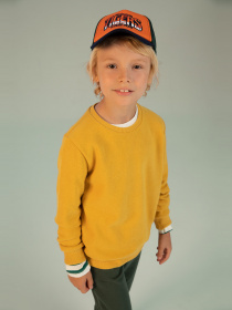 Свитшот DeFacto модель L0311A6-YL42 Фото