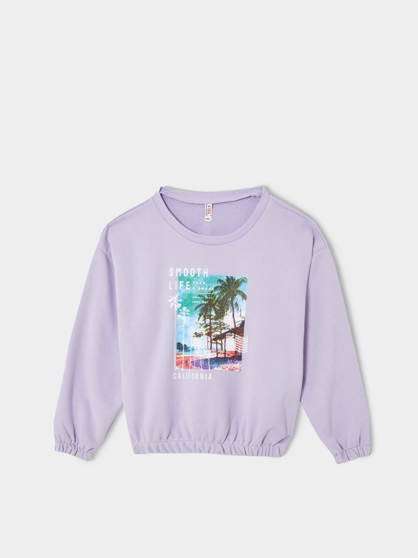 Свитшот DeFacto модель W0161A6-PR33 Фото