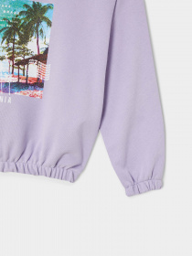 Свитшот DeFacto модель W0161A6-PR33 Фото