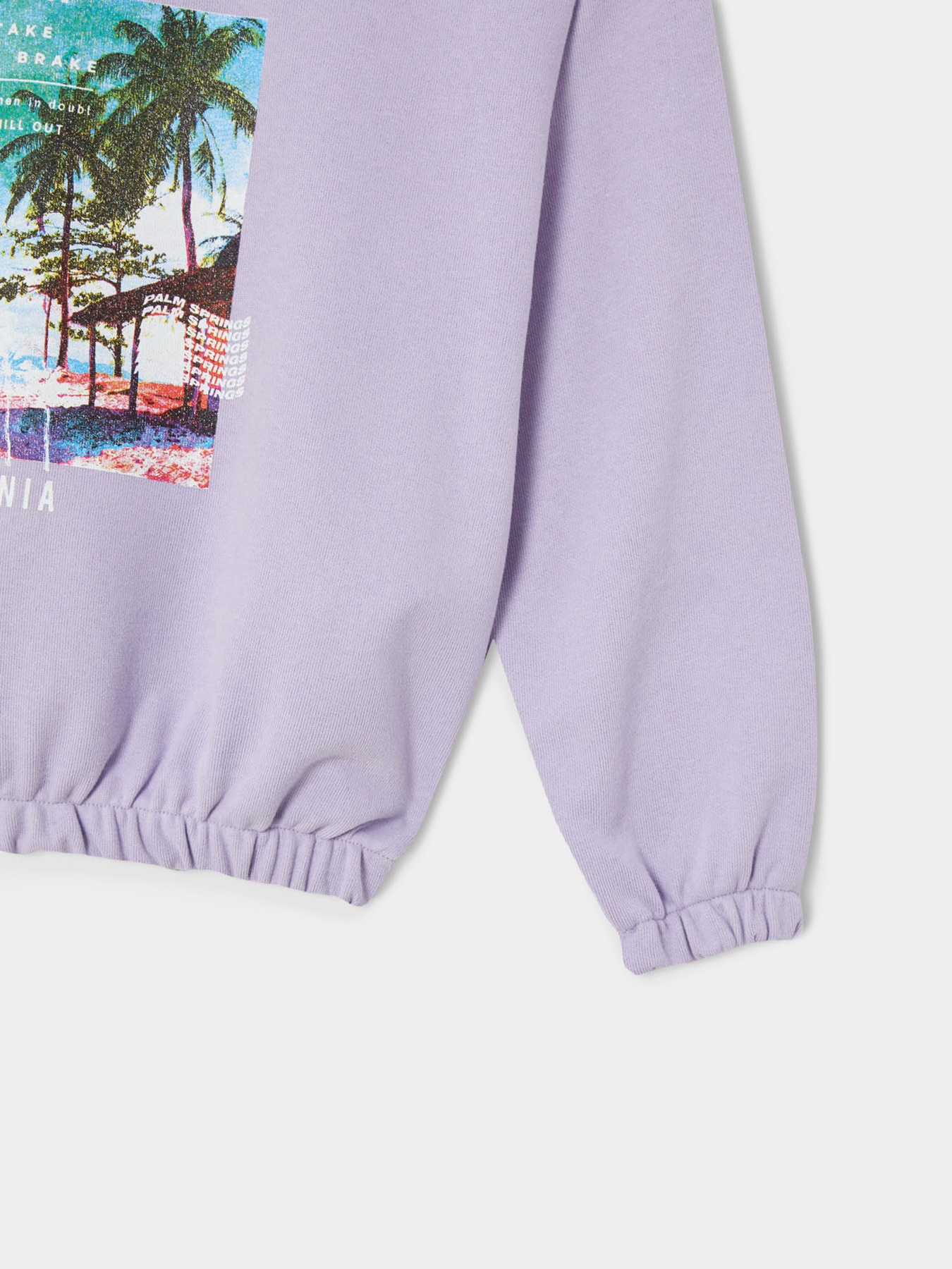 Світшот DeFacto модель W0161A6-PR33 Світшот DeFacto модель W0161A6-PR33 Фото