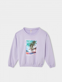 Світшот DeFacto модель W0161A6-PR33 Світшот DeFacto модель W0161A6-PR33 Фото