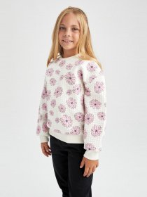 Свитшот DeFacto модель Y3757A6-ER134 Фото