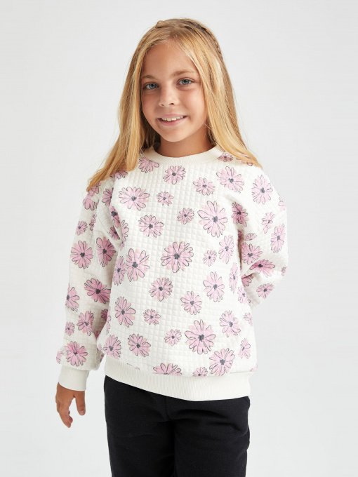 Світшот DeFacto Модель Y3757A6-ER134 Фото