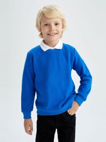 Свитшот DeFacto модель L0311A6-BE64 Фото