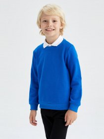 Свитшот DeFacto модель L0311A6-BE64 Фото