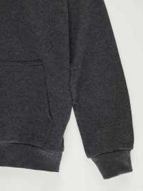 Худі DeFacto модель T9718A6-AR102 Фото