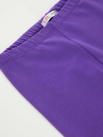 Леггинсы DeFacto модель H9609A6-PR279 Фото