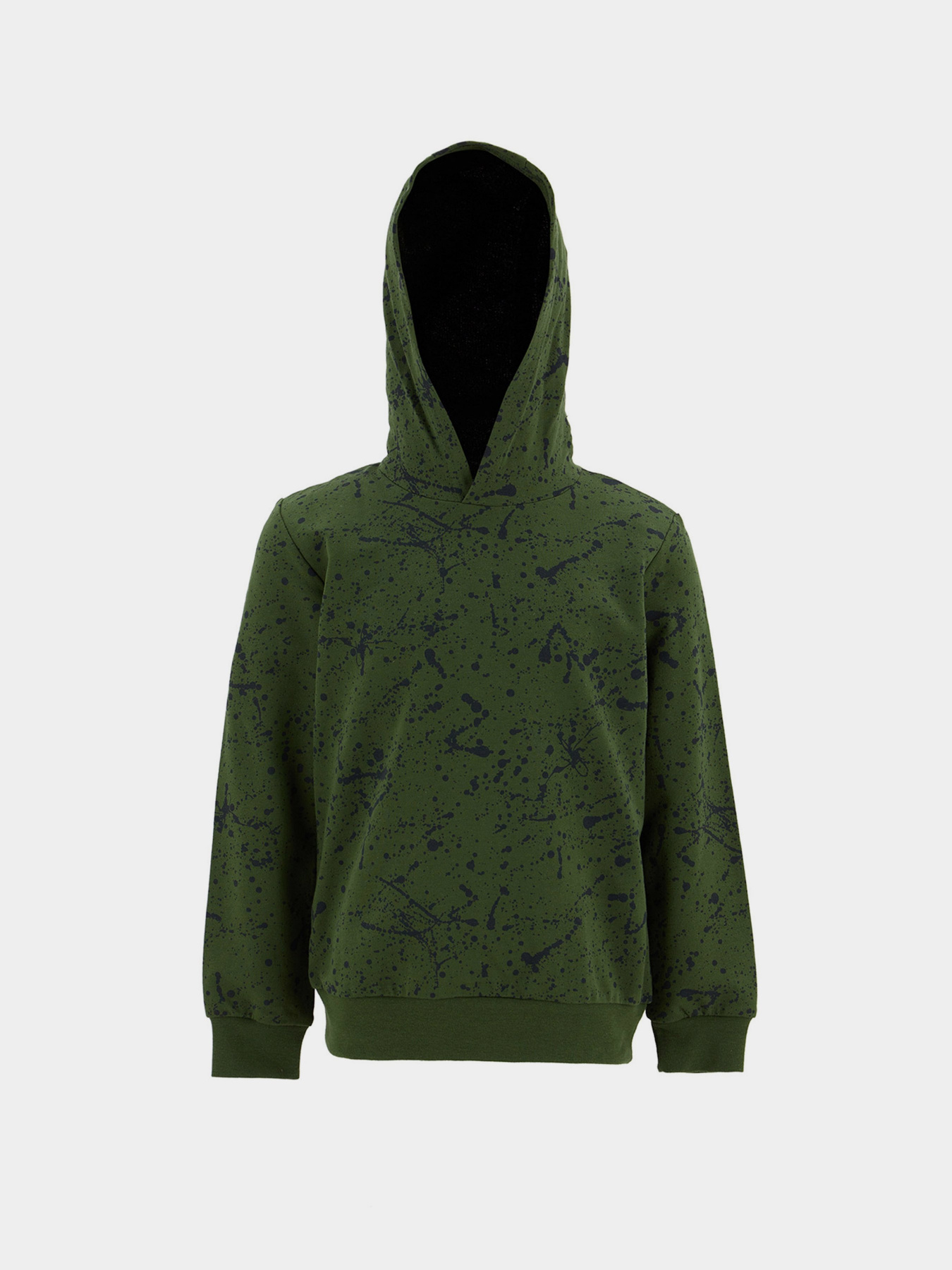 Худи DeFacto модель T5968A6-GN196 Фото