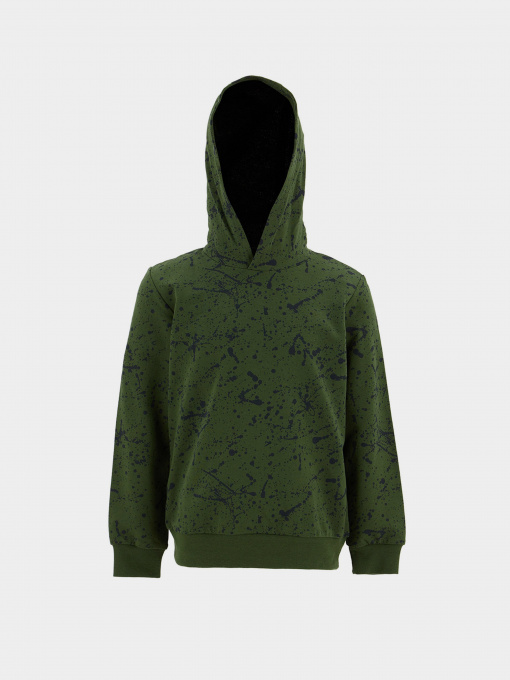 Худі DeFacto модель T5968A6-GN196 Фото