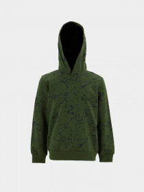 Худи DeFacto модель T5968A6-GN196 Фото