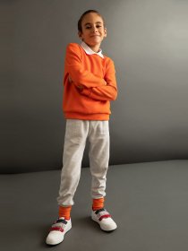 Свитшот DeFacto модель L0311A6-RD269 Фото