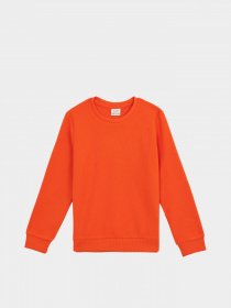 Свитшот DeFacto модель L0311A6-RD269 Фото