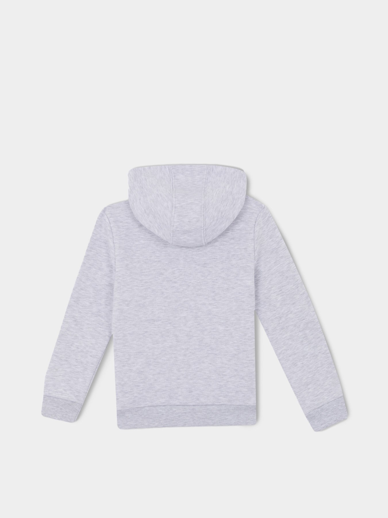 Худи DeFacto модель S2371A6-GR400 Фото