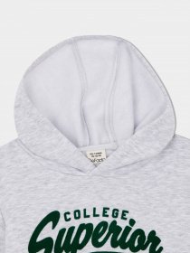 Худи DeFacto модель S2371A6-GR400 Фото