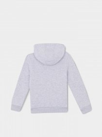 Худи DeFacto модель S2371A6-GR400 Худи DeFacto модель S2371A6-GR400 Фото