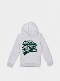 Худи DeFacto модель S2371A6-GR400 Худи DeFacto модель S2371A6-GR400 Фото