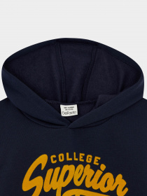 Худи DeFacto модель S2371A6-NV135 Фото