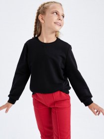 Свитшот DeFacto модель U6470A6-BK81 Фото