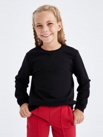 Свитшот DeFacto модель U6470A6-BK81 Фото