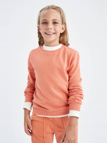 Свитшот DeFacto модель U6470A6-OG203 Фото