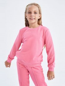 Свитшот DeFacto модель U6470A6-PN253 Фото