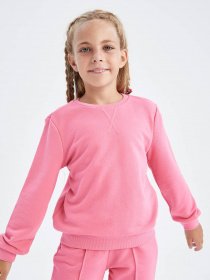 Свитшот DeFacto модель U6470A6-PN253 Фото