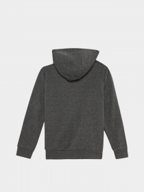 Худи DeFacto модель W0241A6-GR228 Фото