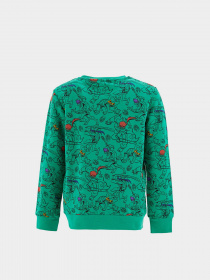 Світшот DeFacto модель S2312A6-GN154 Фото