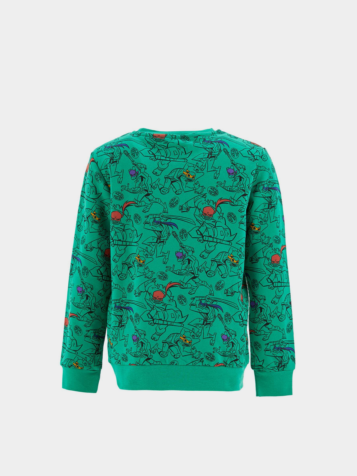 Світшот DeFacto модель S2312A6-GN154 Фото