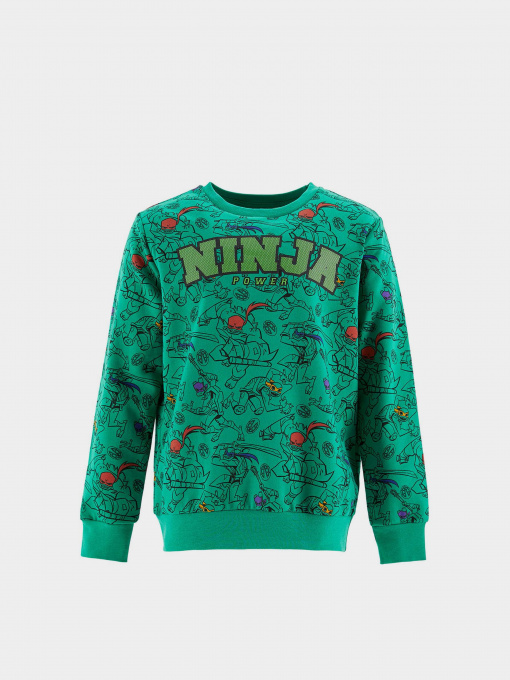 Світшот DeFacto модель S2312A6-GN154 Фото