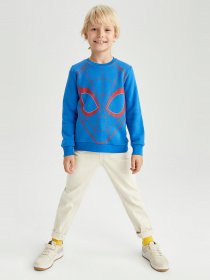 Свитшот DeFacto модель X9566A6-BE64 Фото