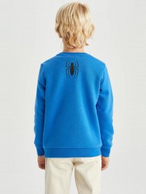 Свитшот DeFacto модель X9566A6-BE64 Фото