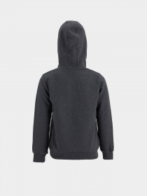 Худи DeFacto модель T6957A6-GR228 Фото