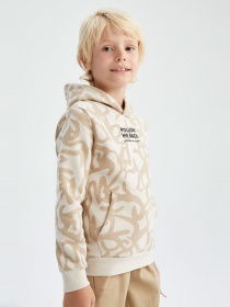 Худи DeFacto модель X9710A6-BG476 Фото