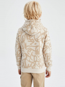 Худи DeFacto модель X9710A6-BG476 Фото