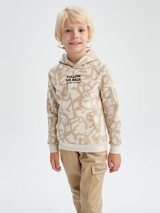 Худи DeFacto модель X9710A6-BG476 Фото