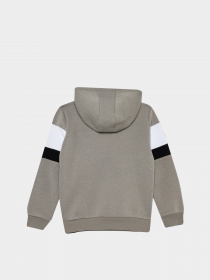 Худи DeFacto модель X9714A6-GR323 Фото